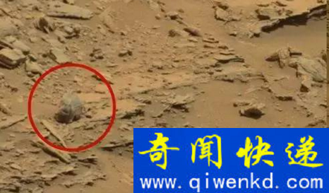 火星表面发现外星人头骨