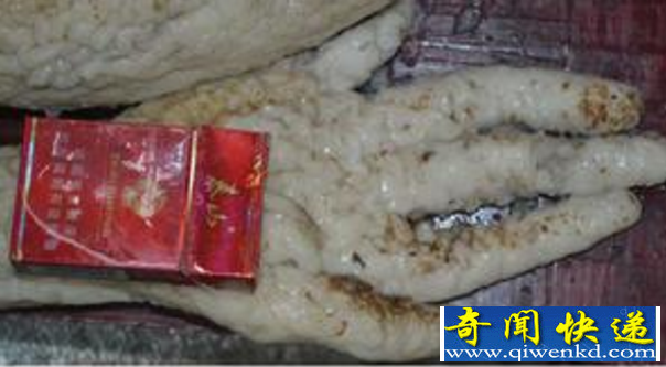 山东滨州ufo外星人事件