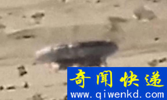 沙特阿拉伯ufo和外星人