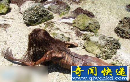 震惊!黑鳞鲛人活着的样子