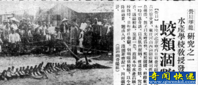 营口坠龙事件