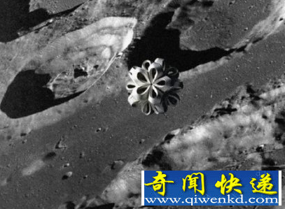 震惊世界的ufo图片