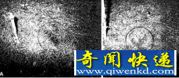 蠕虫状ufo图片