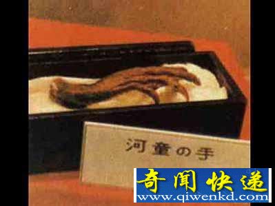 四川惊现诡异河童