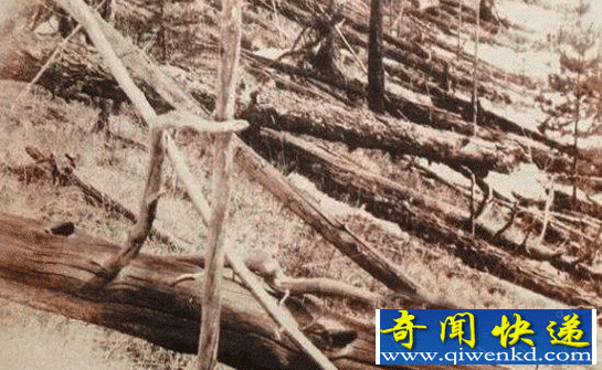 通古斯事件