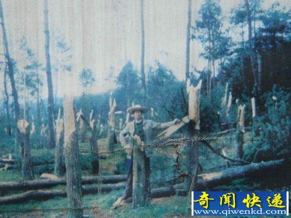 空中怪车事件