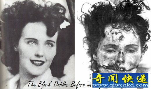 黑色大丽花事件