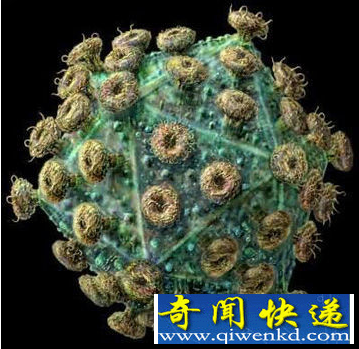 世界上最恐怖的病毒