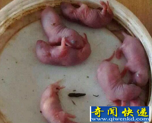 世界上最残忍的食物