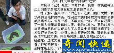 世界上最大的便便