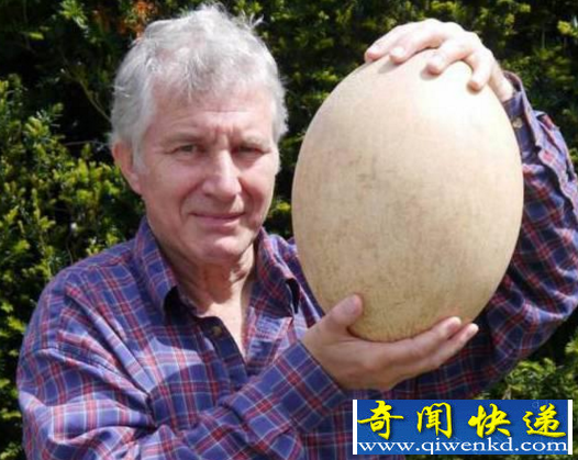 世界上最大的破冰船
