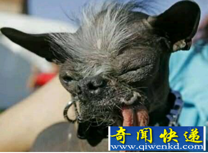 艾尔伍德