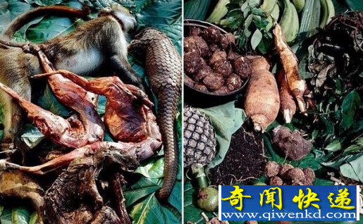 俾格米人的饮食