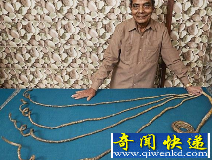 指甲最长的人