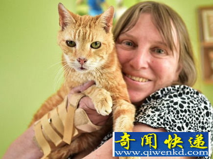 世界上年龄最大的猫
