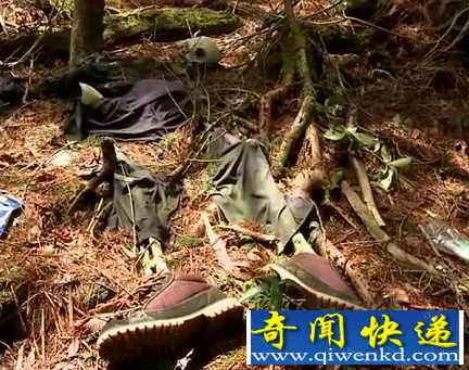 自杀森林
