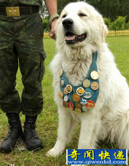 狗
