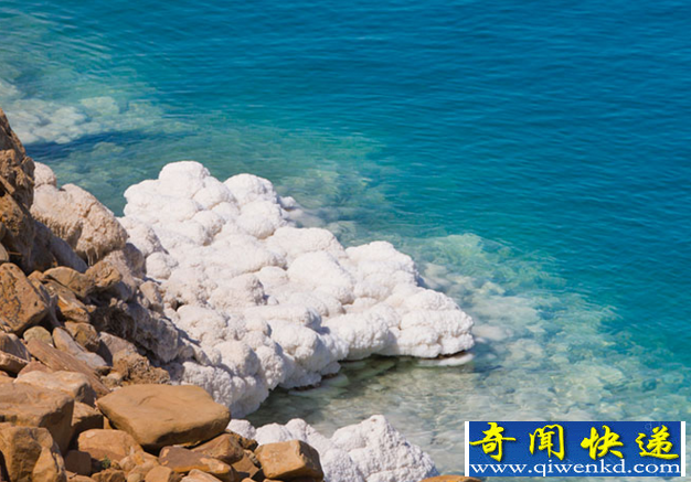 含盐很高的死海