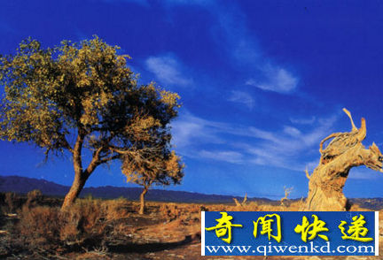 吐鲁番风景