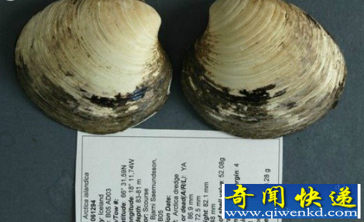 世界活的最久的动物