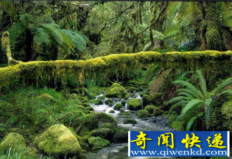 世界面积最大的盆地