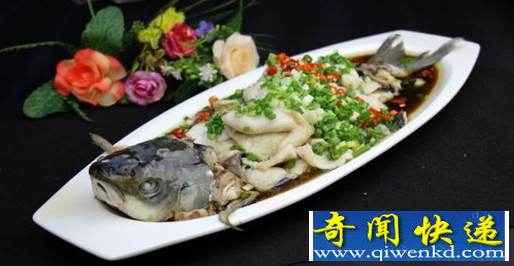 鲶鱼
