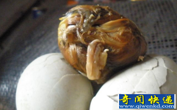 世界最恶心的食物