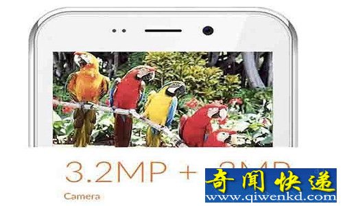 Freedom 251˵
