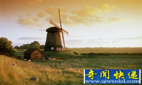 ϵ͵ĹҺ