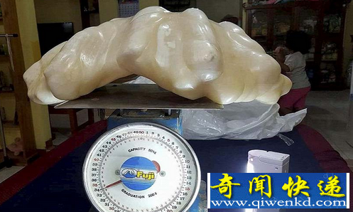 世界最大珍珠