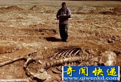 巨人骨骸