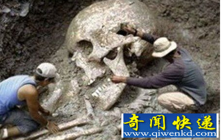 巨人骨骸