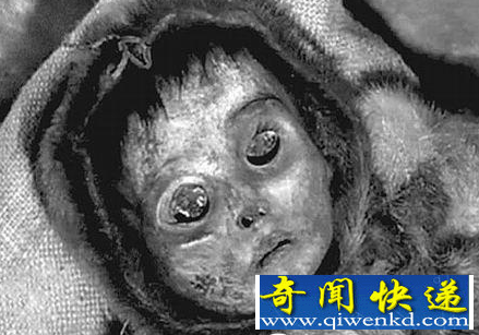 格陵兰木乃伊