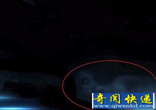 北冰洋发现疑似外星人生物 怀疑为美人鱼