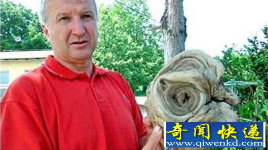 克罗地亚挖外星人头颅(图)