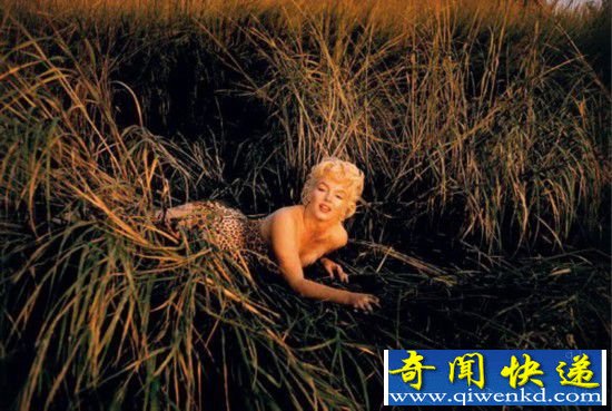你不曾见过的梦露也吸烟