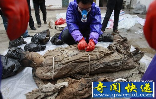 ����ʮ�󲻸���ʬ���й�ǧ���ĹŮʬ����������