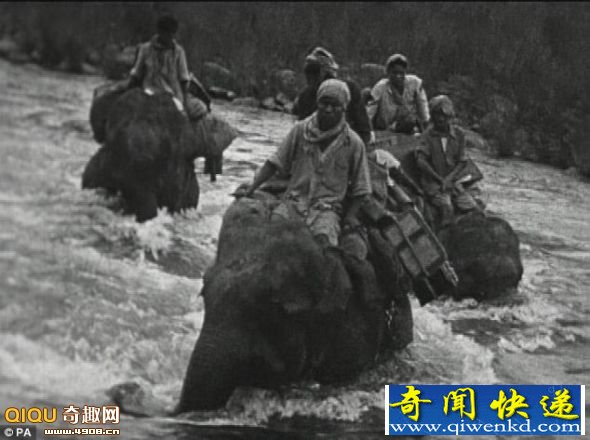 揭秘二战英国“象人”吉尔斯·马克雷尔:用象群拯救数百名难民