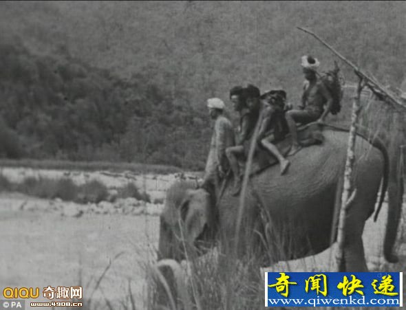 揭秘二战英国“象人”吉尔斯·马克雷尔:用象群拯救数百名难民