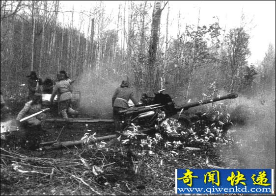 不要求收回从中国掠取150多万平方公里的土地