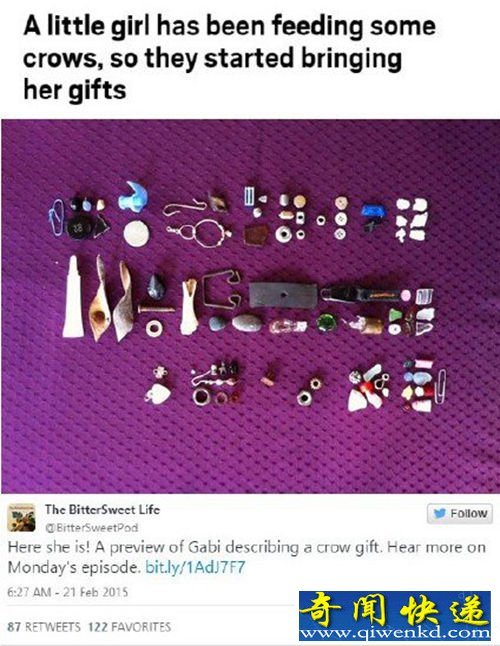 Ůιʳѻ ھ
