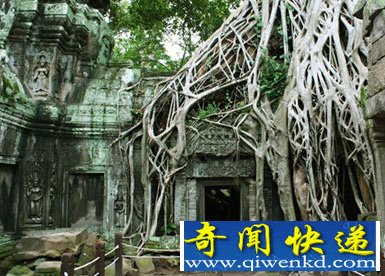 神秘古墓群中惊现永不决流的石棺泉水