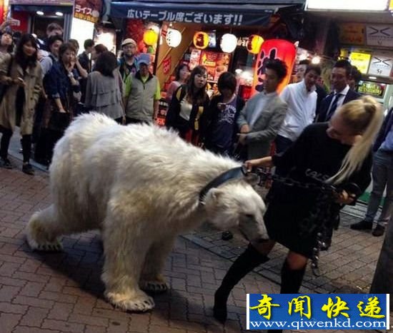 好彪悍 女子闹市街头遛北极熊引轰动