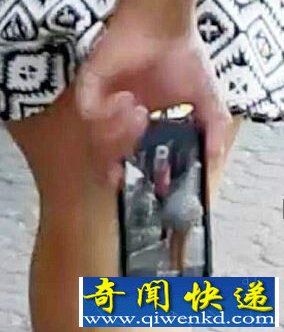 ̬͵Ůȹױץ