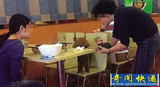 ĸŮ빷ͬԷΧ