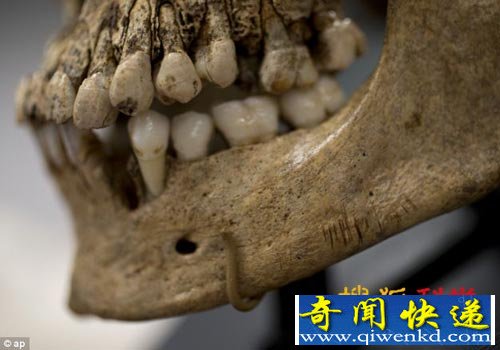 到达美洲的第一批殖民者或为食人族/图