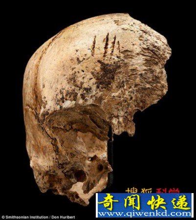 到达美洲的第一批殖民者或为食人族/图
