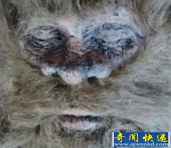 德克萨斯州捕猎大脚野人是真是假