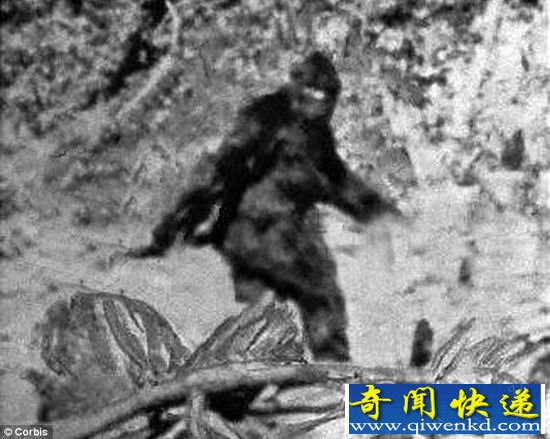 昆仑山里有“野人”是科学还是谬论