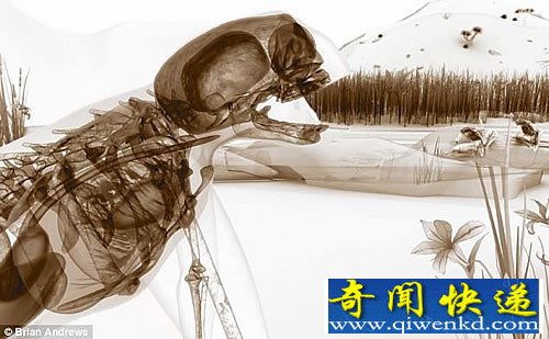 神秘关联性 人类与动物的杂交体